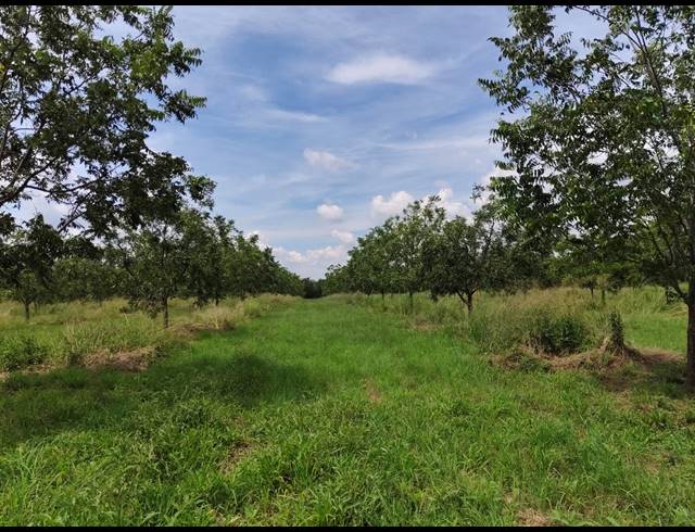 96HA FARM FOR SALE IN HEKPOORT